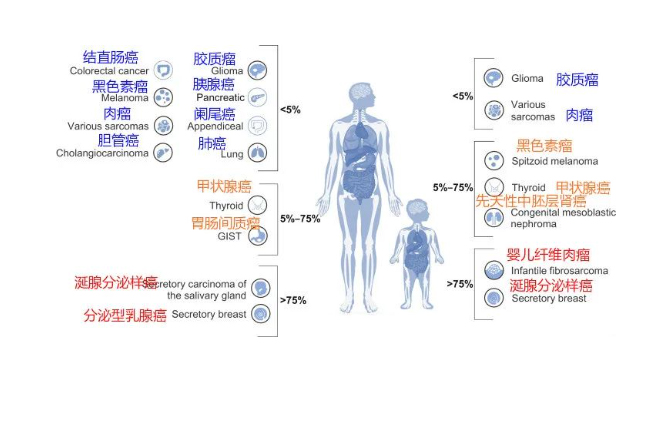 ICP-723是我国自主研发的新一代NTRK抑制剂