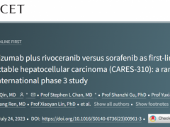 艾瑞卡联合艾坦的双艾方案一线治疗肝癌有望获得FDA批准
