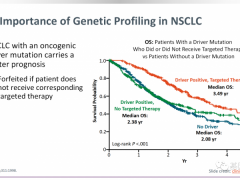 非小细胞肺癌没有基因突变怎么治疗,没有驱动基因突变还可以来做这些尝试