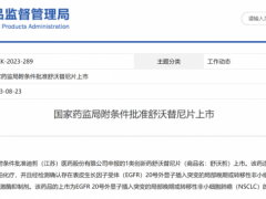  中国首款国产肺癌EGFR20ins突变靶向药舒沃替尼(DZD9008、舒沃哲、Sunvozertinib)震撼上市