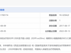 YK-029A片:突破性治疗非小细胞肺癌的新药