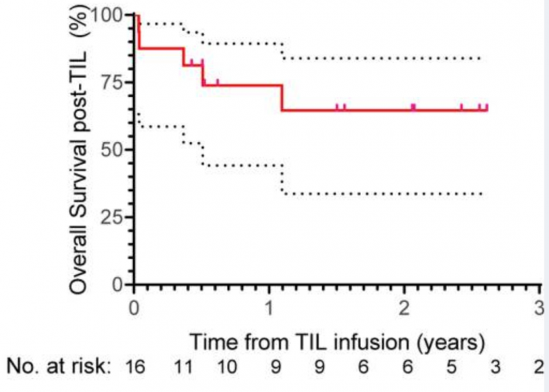 TILs疗法治疗肺癌的数据