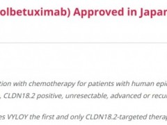  Claudin 18.2(CLDN18.2)靶向药单抗Zolbetuximab(佐贝妥昔单抗、IMAB362)在日本上市,用于治疗CLDN18.2阳性、不可切除、晚期或复发
