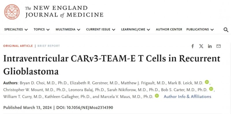 CARv3-TEAM-E T Cells报道