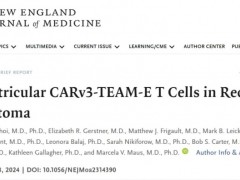 CART细胞疗法成功案例,CAR-T细胞疗法CARv3-TEAM-E治疗脑胶质瘤5天内肿瘤快速消退