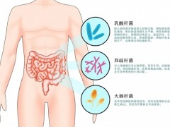 益生菌抗癌效果怎么样,益生菌辅助抗癌延长生存期、降低化疗副作用,惠及结直肠癌、肾癌、乳腺癌等