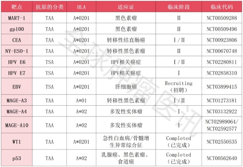 目前已经进入临床试验阶段的代表性靶点及TCR-T疗法