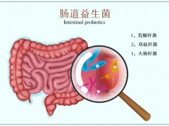 益生菌抗癌功效与作用,益生菌开启肺癌、肝癌等全新抗癌模式,中位无进展生存期竟达250天