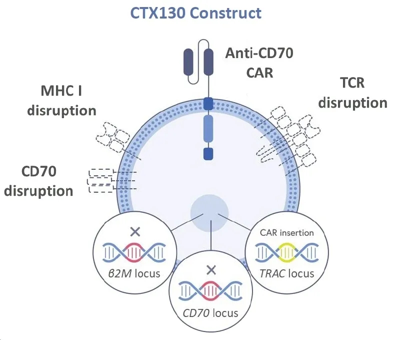 CTX130