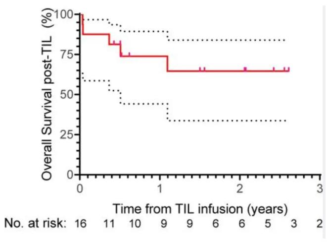 TIL细胞治疗PD-1耐药的转移性肺癌的数据