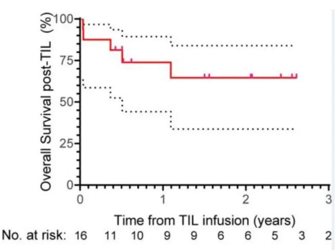 TIL细胞疗法治疗转移性肺癌的数据