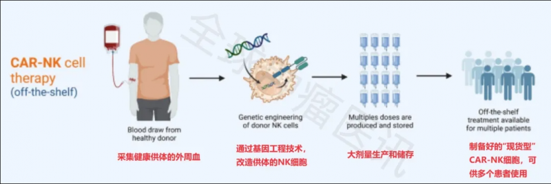 CAR-NK细胞的制备过程