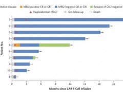  2024年ASCO大会:四款中国CART疗法大展拳脚,重击结直肠癌、胰腺癌、血液肿瘤,总缓解率近100.0%