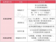 γδT细胞治疗癌症肿瘤中位无进展生存期提高1倍,助肺癌、结直肠癌、血癌患者"逆风翻盘"