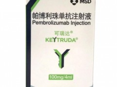 帕博利珠单抗注射液