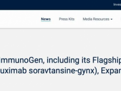 2024年3月22日FDA正式批准索米妥昔单抗注射液(Mirvetuximab Soravtansine-gynx、Elahere/爱拉赫)用于上皮性卵巢癌、输卵管癌或原发性腹膜癌