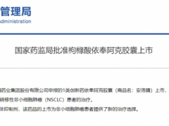 2024年6月17日中国药监局批准枸橼酸依奉阿克胶囊(Envonalkib、安洛晴、TQ-B3139)用于治疗ALK阳性的局部晚期或转移性非小细胞肺癌