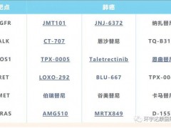 2024双节献礼|全球肿瘤医生网"健康卫士"--肿瘤910+PD-L1基因检测红包拼团钜惠盛启