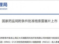 2024年11月8日国家药监局批准KRAS G12C抑制剂格索雷塞片(Garsorasib、安方宁)用于成人既往至少接受过一种系统性治疗的KRAS G12C