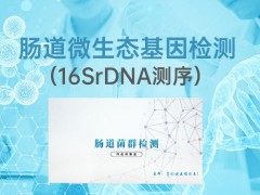 肠道16s微生物基因检测