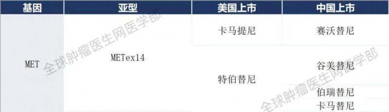 肺癌MET靶向药