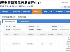 HER2靶向药新药物宗格替尼(Zongertinib、BI1810631)治疗非小细胞肺癌疾病控制率达91%,在中国申报上市
