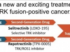 不限癌种的抗癌药,国产泛TRK抑制剂ICP-723(Zurletrectinib)实现100%的疾病控制