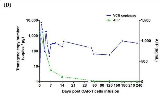 CAR-GPC3 T细胞疗法治疗晚期肝癌的数据
