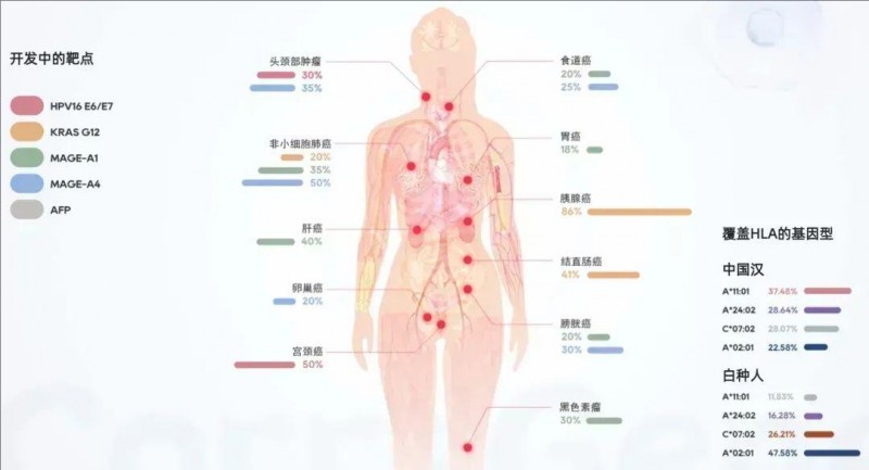 TCR-T细胞疗法覆盖的癌症及靶点