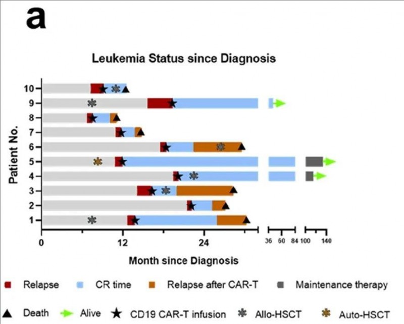 CD19 CART治疗高危急性髓系白血病的数据