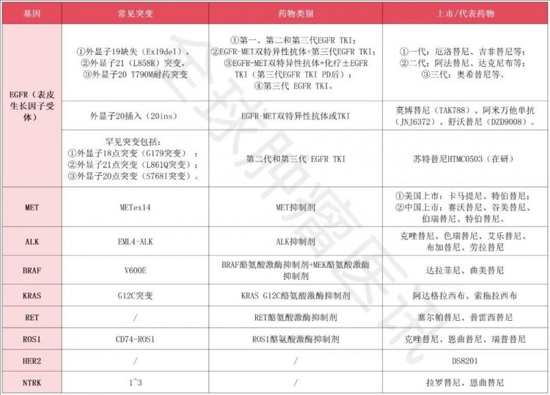 肺癌常见的突变类型及靶向药大盘点