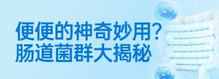 肠道菌群