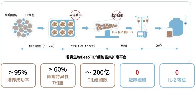 TIL细胞疗法治疗肺癌的流程