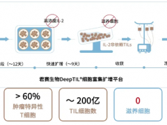 TIL细胞疗法治疗肺癌,一次治疗快速缓解,晚期患者重回正常生活