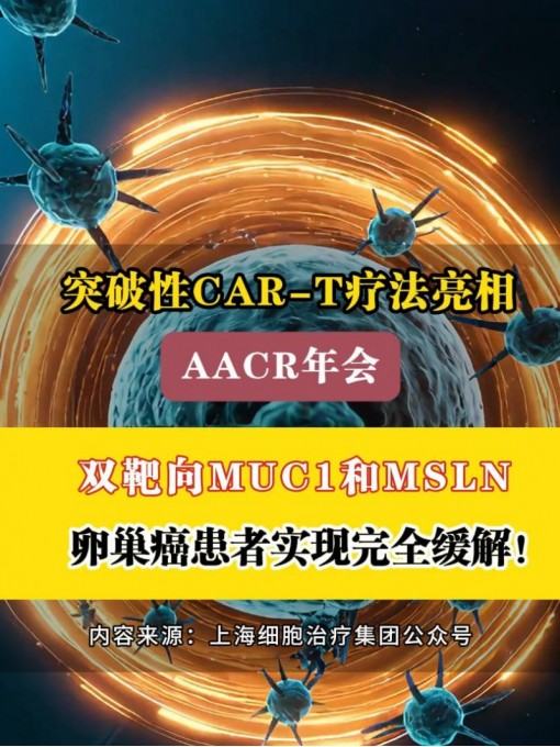 突破性CAR-T疗法亮相AACR年会：双靶向MUC1和MSLN，卵巢癌患者实现完全缓解！#CAR-T #卵巢癌