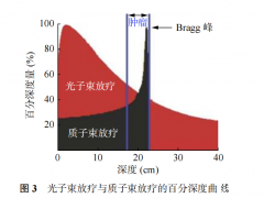 质子治疗是什么意思,质子治疗一次多少钱