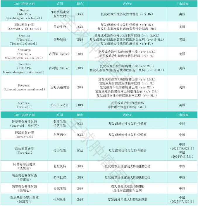 中美两国上市的CAR-T细胞疗法