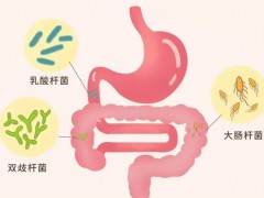 乳腺癌化疗副作用怎么缓解,益生菌缓解症状+提升体能,帮乳腺癌患者闯过这道难关