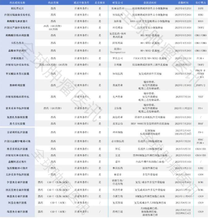 2025年初审的抗癌新药