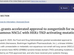 2025年8月8日FDA加速批准全球首个HER2肺癌口服靶向药宗格替尼(Zongertinib、Hernexeos、BI1810631)用于非小细胞肺癌