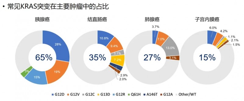 各癌种KRAS基因突变的概率