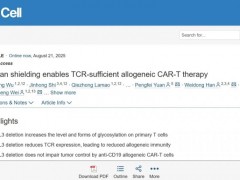 身披"隐身衣"的北大自研现货型CART细胞疗法登上《Cell》,横扫血癌、肺癌、卵巢癌、肠癌等