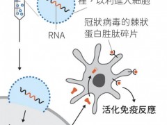 癌症治疗新曙光！mRNA疫苗让“绝症”成为过去式，患者重获新生希望