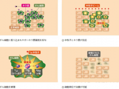 日本BNCT硼中子俘获疗法治疗癌症，正在悄然改变患者的命运