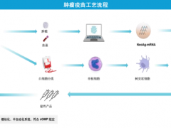 颠覆性的mRNA癌症疫苗已经来了，一文读懂它是如何“教会”免疫系统干掉癌细胞的