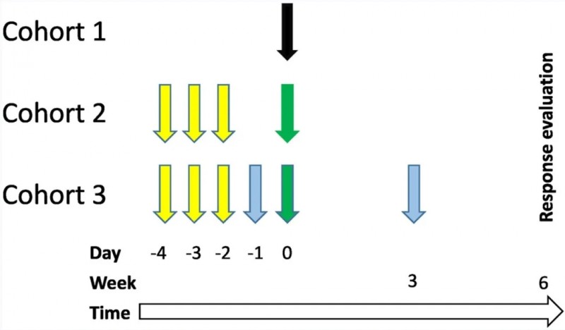 GD2-CAR3T细胞治疗复发性神经母细胞瘤的数据