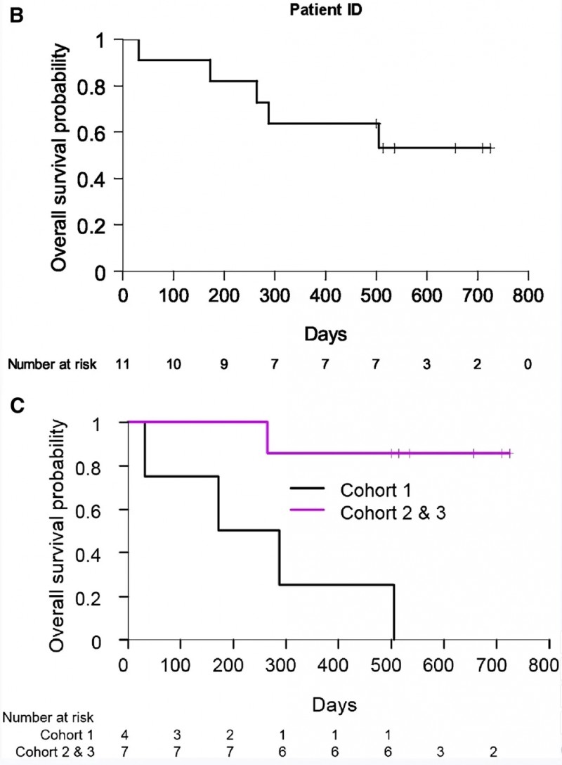 GD2-CAR3T细胞治疗复发性神经母细胞瘤的生存期数据