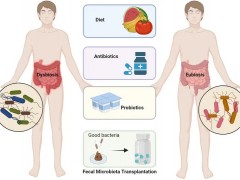 肠道菌群移植联合PD-1精准治疗，帮助难治性患者肿瘤全消