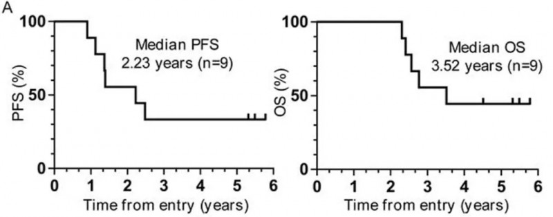 WT1-DC疫苗治疗胰腺癌的数据