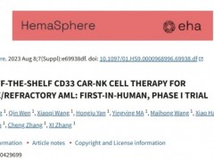 CD33 CAR-NK细胞疗法治疗复发或难治性急性髓系白血病首次人体试验，60%患者达成MRD完全缓解